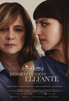 Portada de la película Desmontando un elefante (2025), una Película disponible para ver online en alta definición.