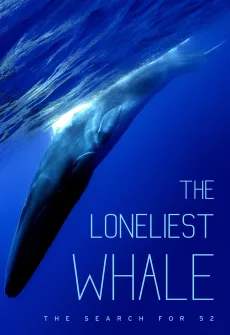 Portada de la película The Loneliest Whale: The Search for 52 (2021), una Película disponible para ver online en alta definición.