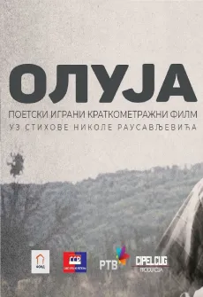 Portada de la película Oluja (2021), una Película disponible para ver online en alta definición.
