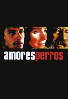 Portada de la película Amores perros (2000), una Película disponible para ver online en alta definición.