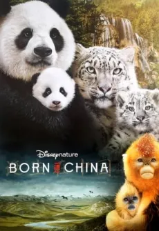 Portada de la película Born in China (2016) (2016), una Película disponible para ver online en alta definición.