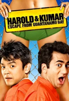 Portada de la película Dos tontos en fuga (2008) (2008), una Película disponible para ver online en alta definición.