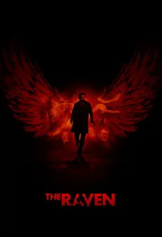 Portada de la película El enigma del cuervo (2012) (2012), una Película disponible para ver online en alta definición.