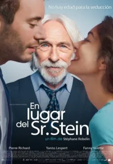Portada de la película En lugar del Sr. Stein (2017) (2017), una Película disponible para ver online en alta definición.