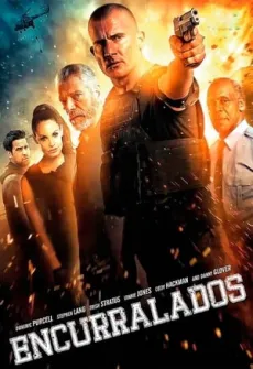 Portada de la película Gridlocked (2015) (2015), una Película disponible para ver online en alta definición.