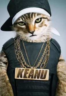 Portada de la película Keanu (2016), una Película disponible para ver online en alta definición.