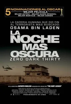Portada de la película La noche más oscura (2012) (2012), una Película disponible para ver online en alta definición.