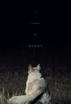 Portada de la película Llega de noche (2017) (2017), una Película disponible para ver online en alta definición.