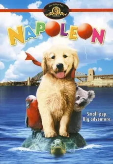 Portada de la película Napoleón, el perrito aventurero (1995) (1995), una Película disponible para ver online en alta definición.