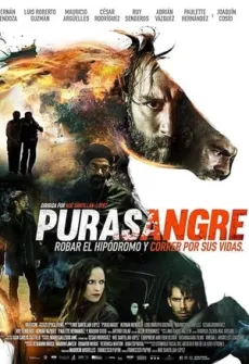 Portada de la película Purasangre (2016) (2016) (2016), una Película disponible para ver online en alta definición.