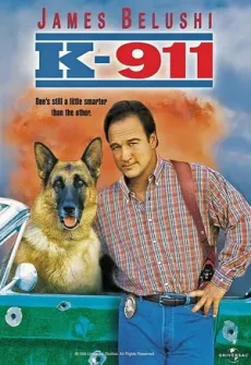 Portada de la película Superagente K-911 (1999), una Película disponible para ver online en alta definición.